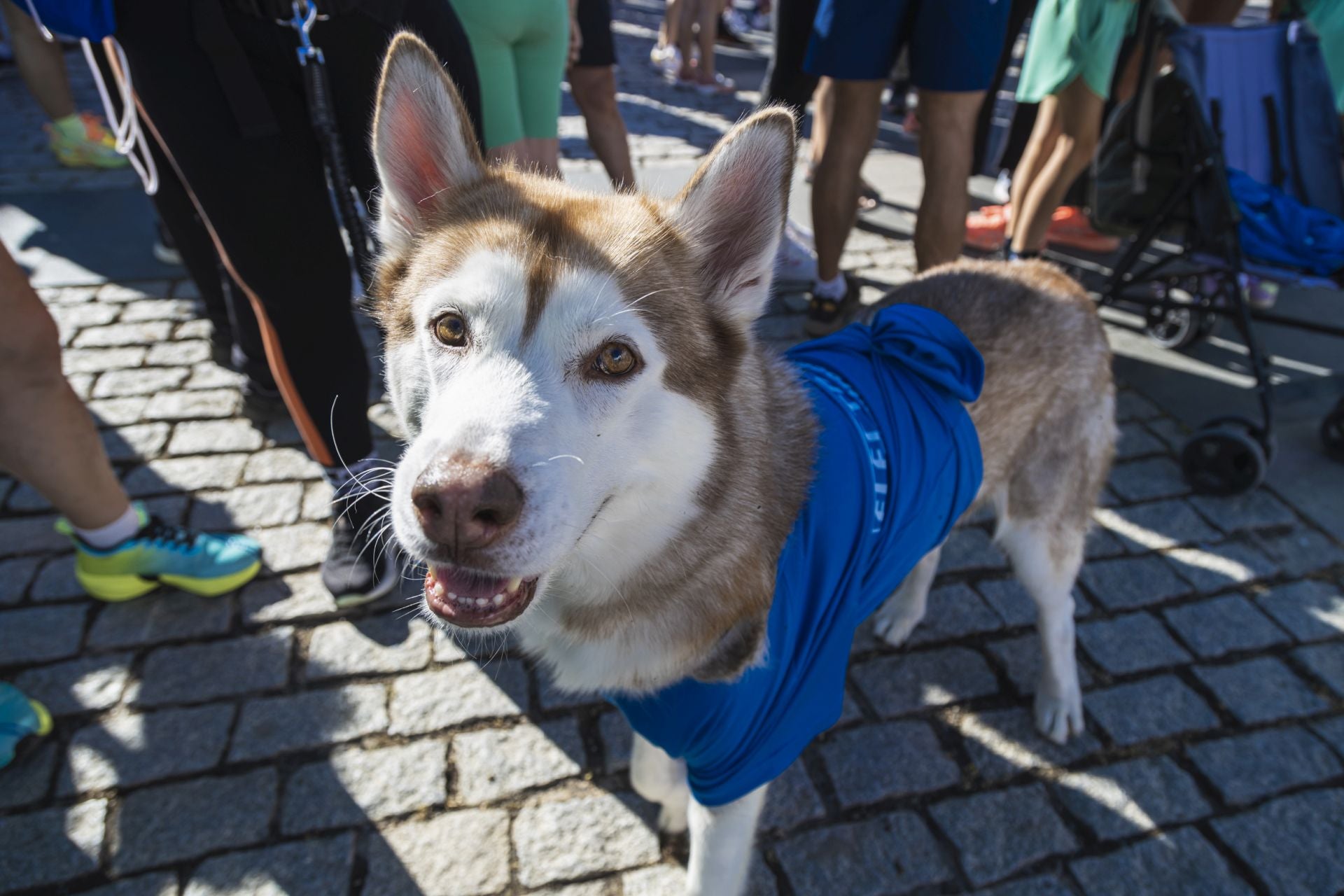 La marcha contra el cáncer de Badajoz, en imágenes