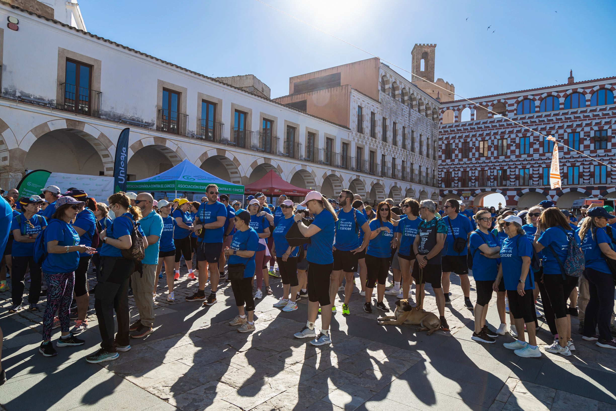 La marcha contra el cáncer de Badajoz, en imágenes