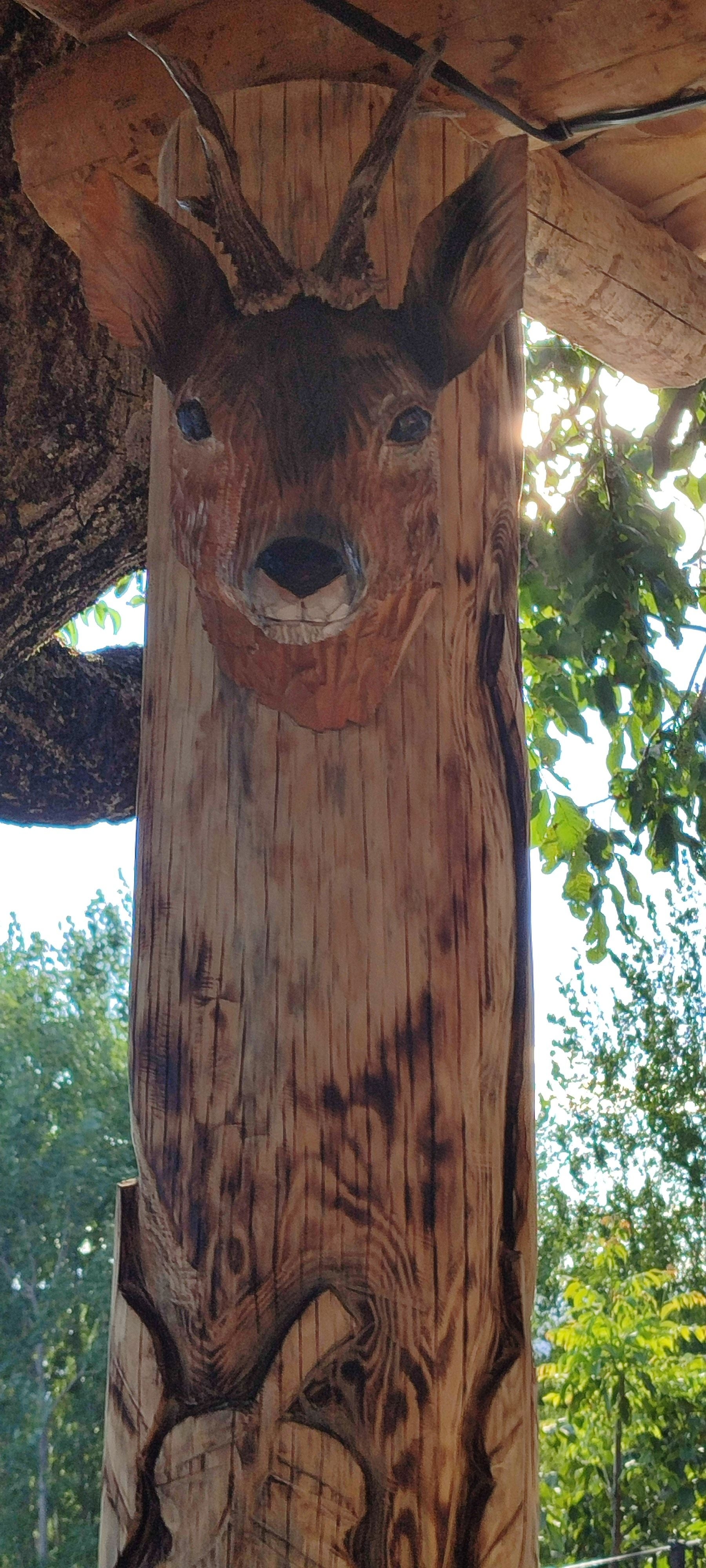 Fotos | Lupe Arévalo, campeona de talla con motosierra