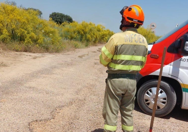 El Infoex desactiva el nivel 1 de peligrosidad en un incendio forestal en Madrigalejo