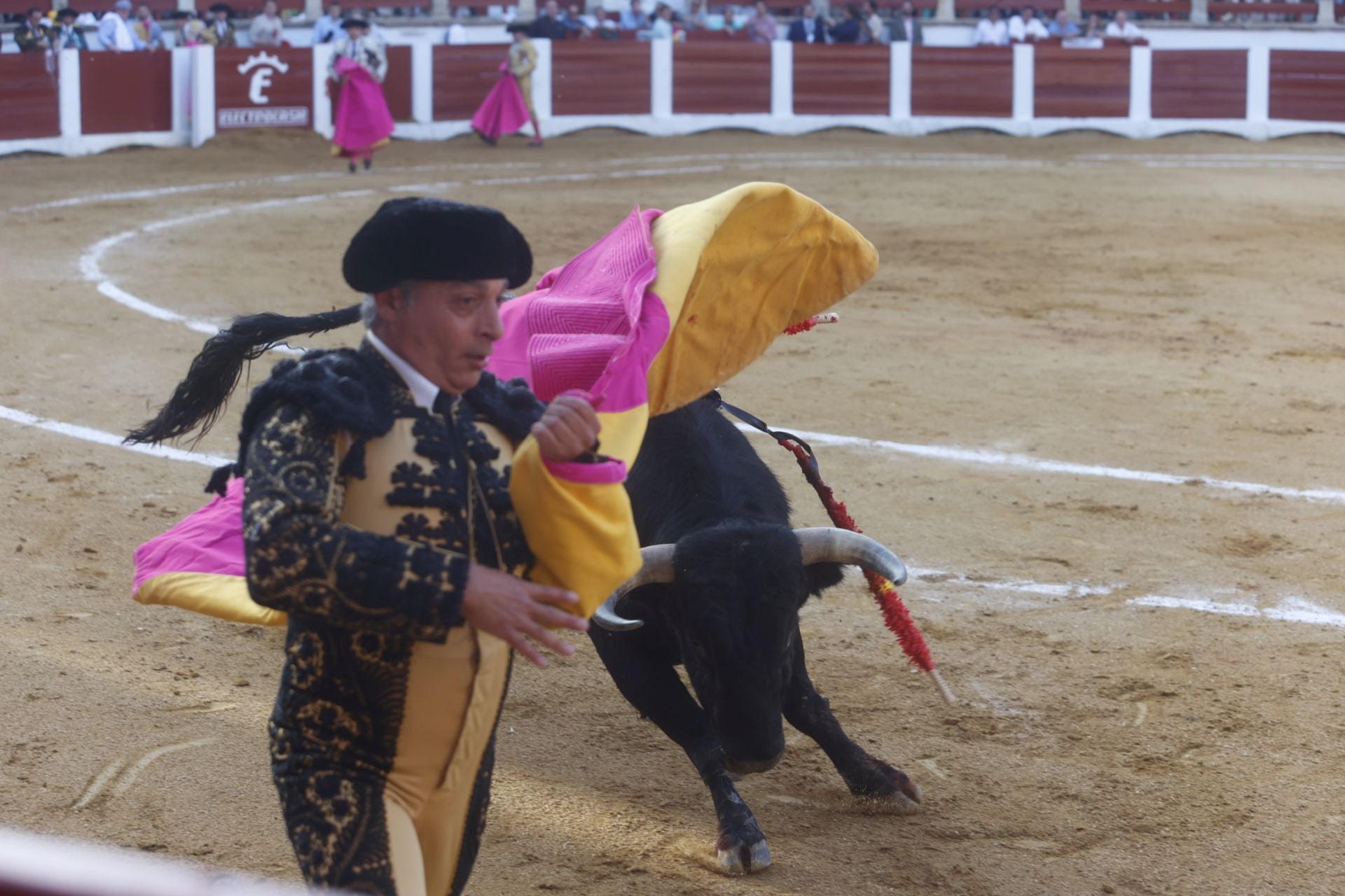 Fotos | Así ha sido el festejo de Morante y Roca Rey en la Feria de San Fernando de Cáceres