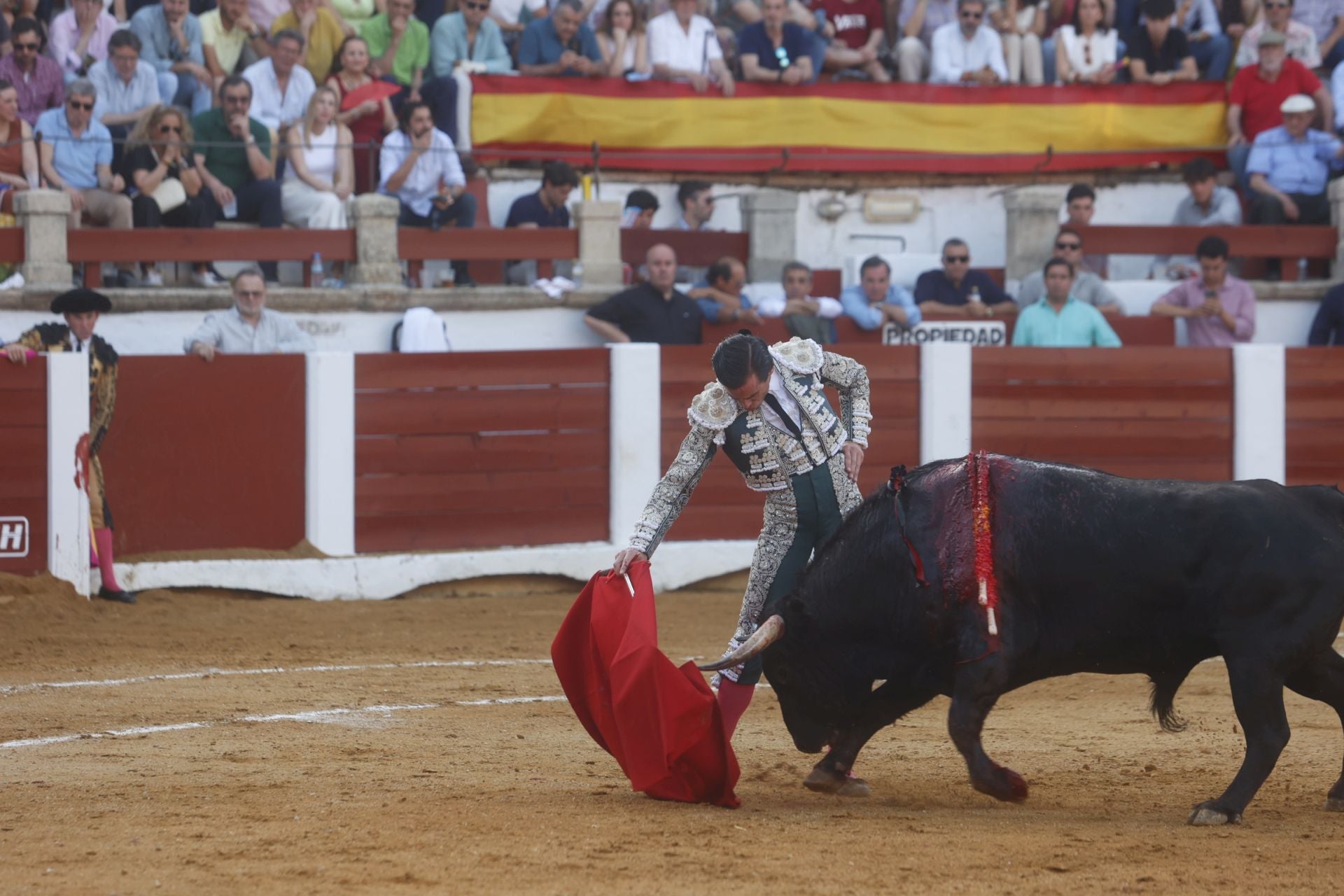 Fotos | Así ha sido el festejo de Morante y Roca Rey en la Feria de San Fernando de Cáceres
