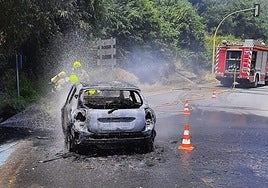 Efectivos de los bomberos del Sepei del parque de Plasencia han intervenido para sofocar las llamas del turismo.