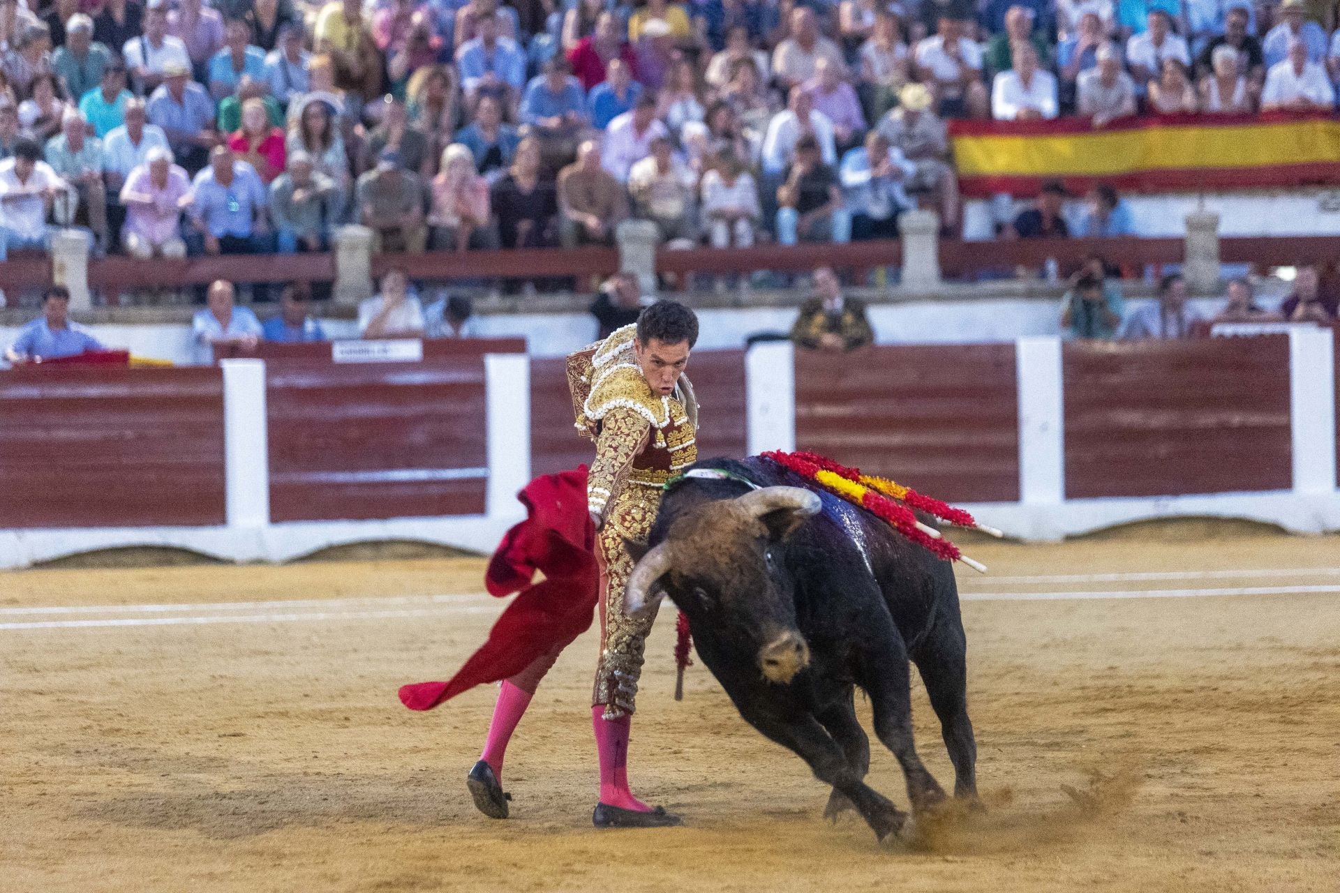 Fotos | Así ha sido el cierre de la Feria Taurina de Cácers con Ferrera, Roca y Marín