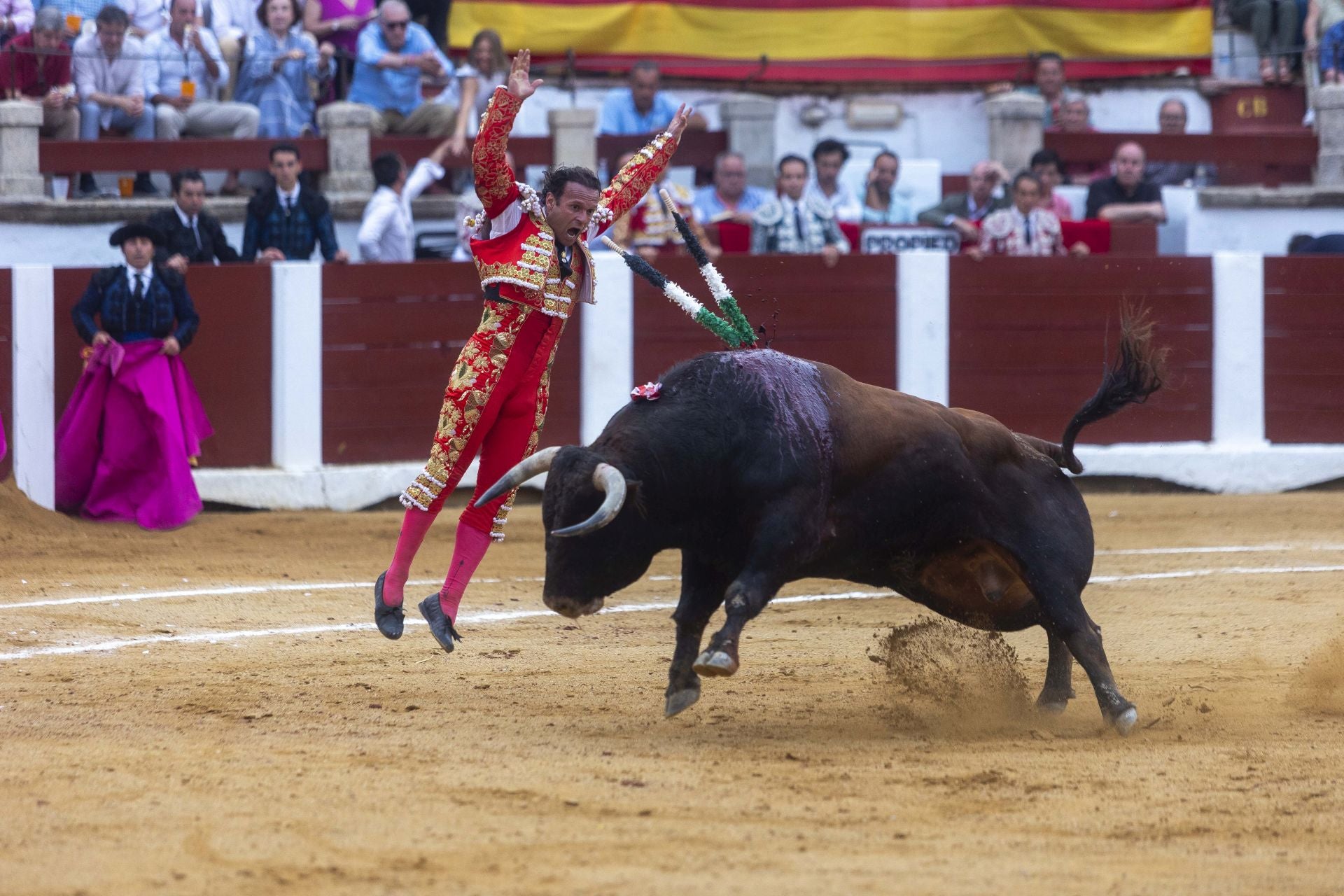 Fotos | Así ha sido el cierre de la Feria Taurina de Cácers con Ferrera, Roca y Marín