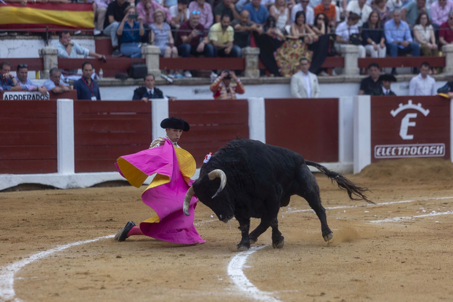 Fotos | Así ha sido el cierre de la Feria Taurina de Cácers con Ferrera, Roca y Marín
