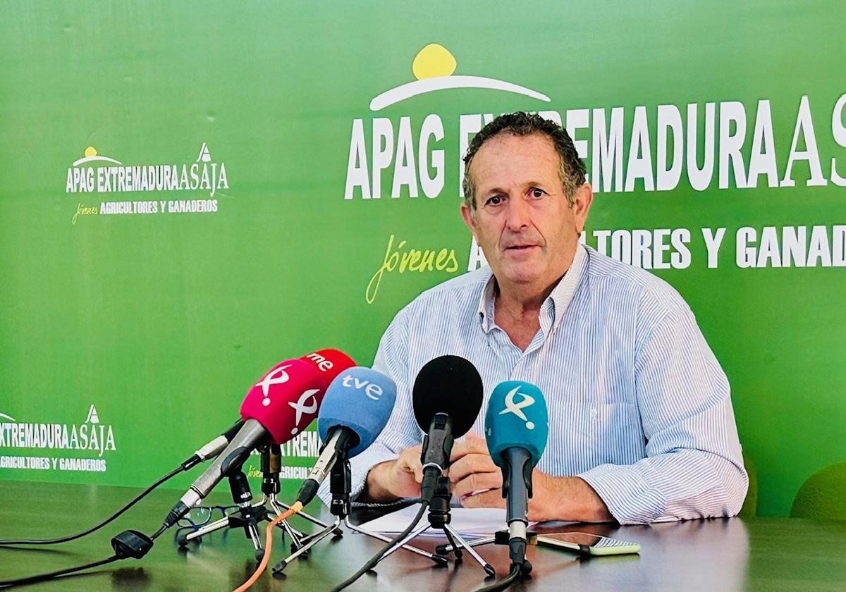 Apag Asaja estima unas pérdidas de 92,5 millones de euros en la campaña de cereal de invierno en Extremadura