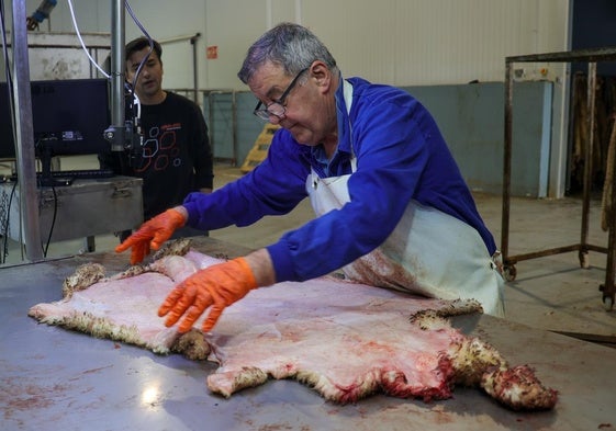 Instalaciones de Ovipiel en el polígono industrial Montepuezolo de Villanueva de la Serena.