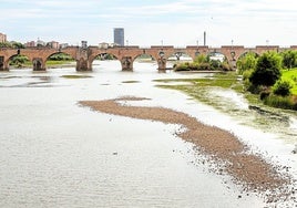 La bajada del nivel del Guadiana deja ver el fondo en varios puntos.