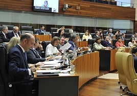 Diputados autonómicos en el pleno de este jueves en la Asamblea.