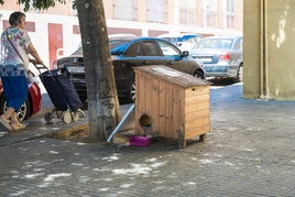 Caseta para la colonia felina en la calle Lucas Vázquez Ayllón, a unos metros de la casa de Carmen.