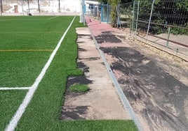 Los trozos de césped robados en el Cerro de Reyes.