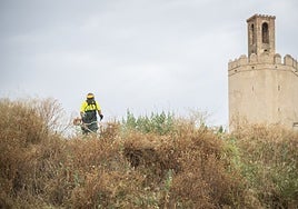 Un operario desbrozando la parcela del Campillo.