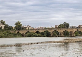 Río Guadiana a su paso por Badajoz