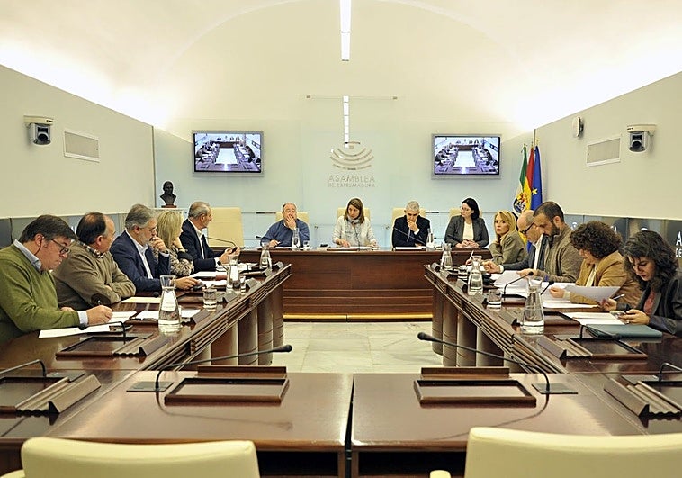 Comisión sobre el regadío de Tierra de Barros celebrada este miércoles en la Asamblea.