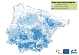 La población de conejo de monte ha bajado un 62% desde 2009 en Extremadura