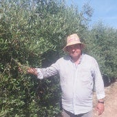 Juan Fernando Dávila, este viernes, junto a su olivar superintensivo cerca de Valdivia, en el término de Villanueva de la Serena.
