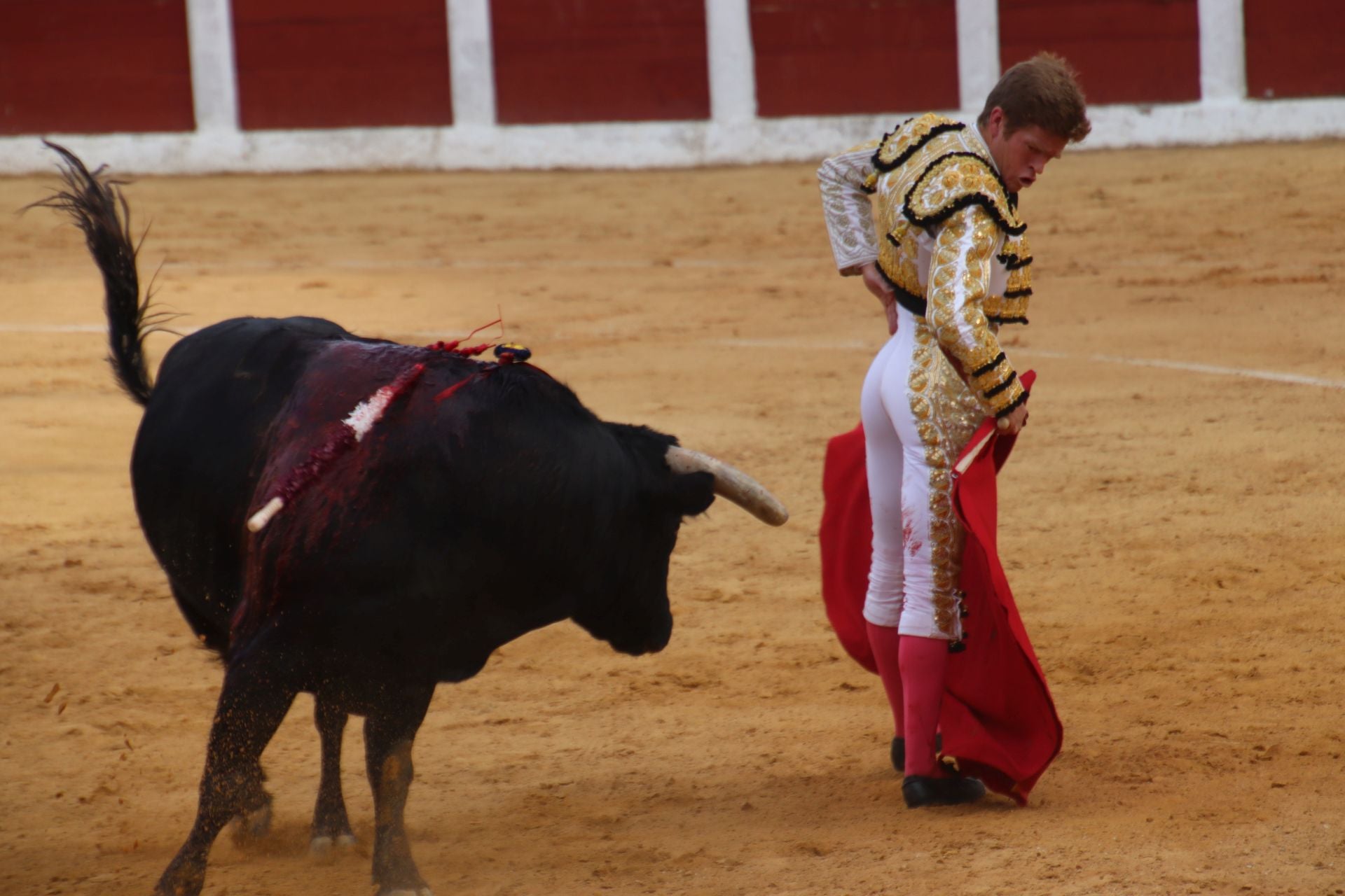 Fotos | Borja Jiménez sale por la puerta grande