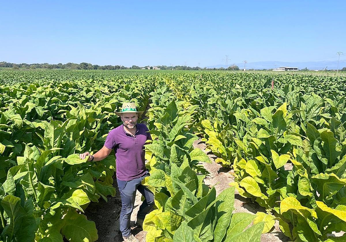 La Junta organiza una sesión de tecnología aplicada al campo