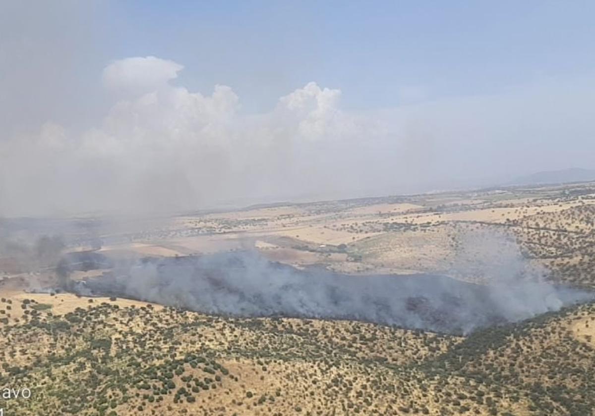 Área afectada por el incendio de Granja de Torrehermosa.