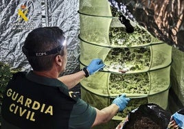 Droga incautada por la Guardia Civil.
