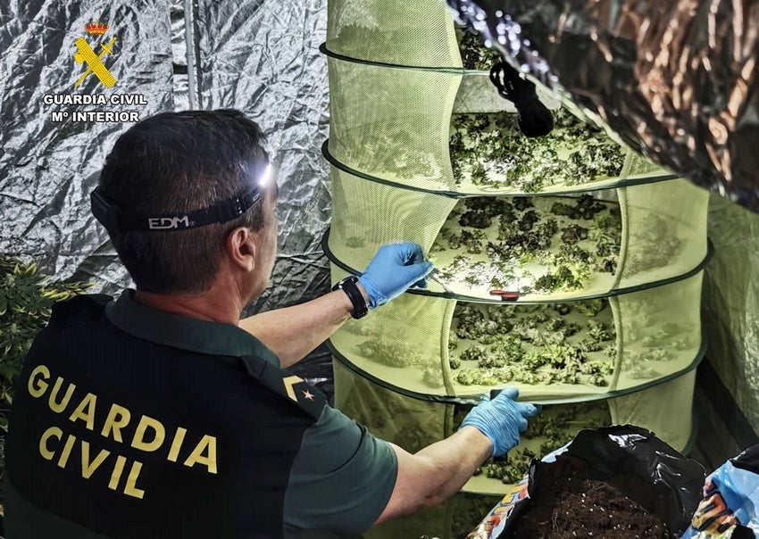 Droga incautada por la Guardia Civil.