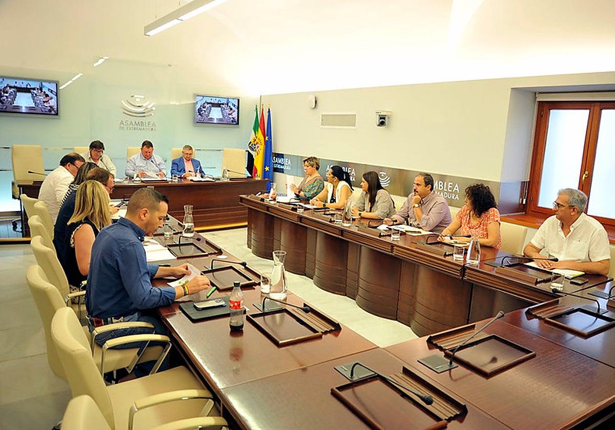 Comisión de Presidencia, Interior y Diálogo Social en la Asamblea.