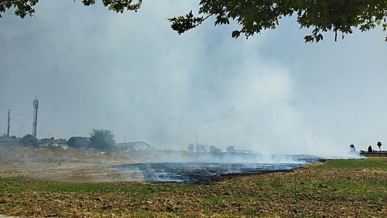 Primer incendio de pastos secos junto a la barriada del Cerro del Viento