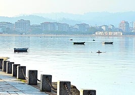 Paseo marítimo de Vilagarcía de Arousa.