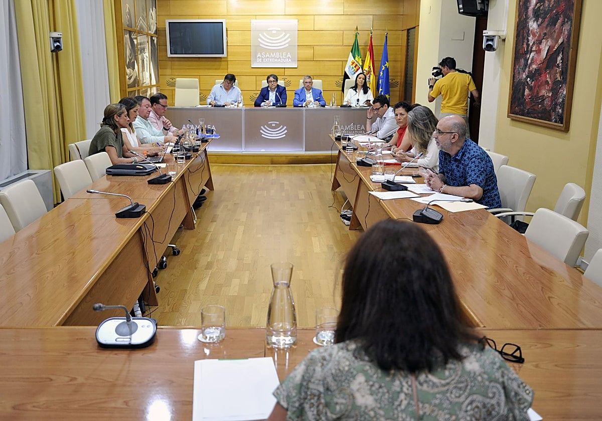 Reunión de la Comisión de Hacienda y Presupuestos en la Asamblea de Extremadura.
