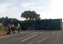 El camión volcó sobre los dos carriles de la N-523.
