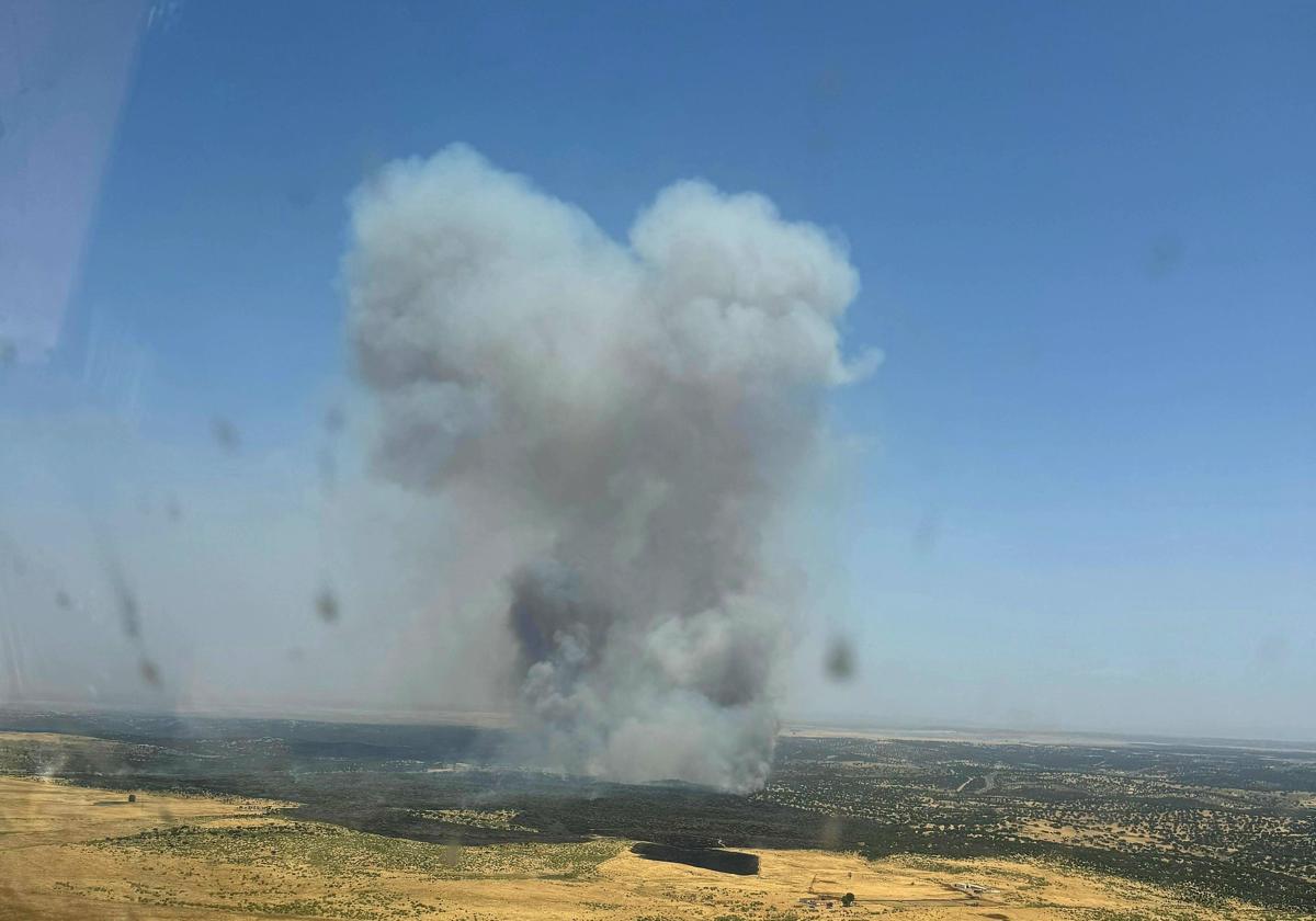 Aspecto que presentaba el incendio de Plasenzuela esta tarde.