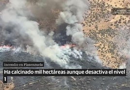 Columnas de humo provocadas por el incendio de Plasenzuela.