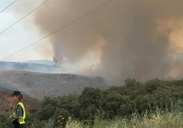 Columnas de humo provocadas por el incendio en Valdecañas de Tajo.