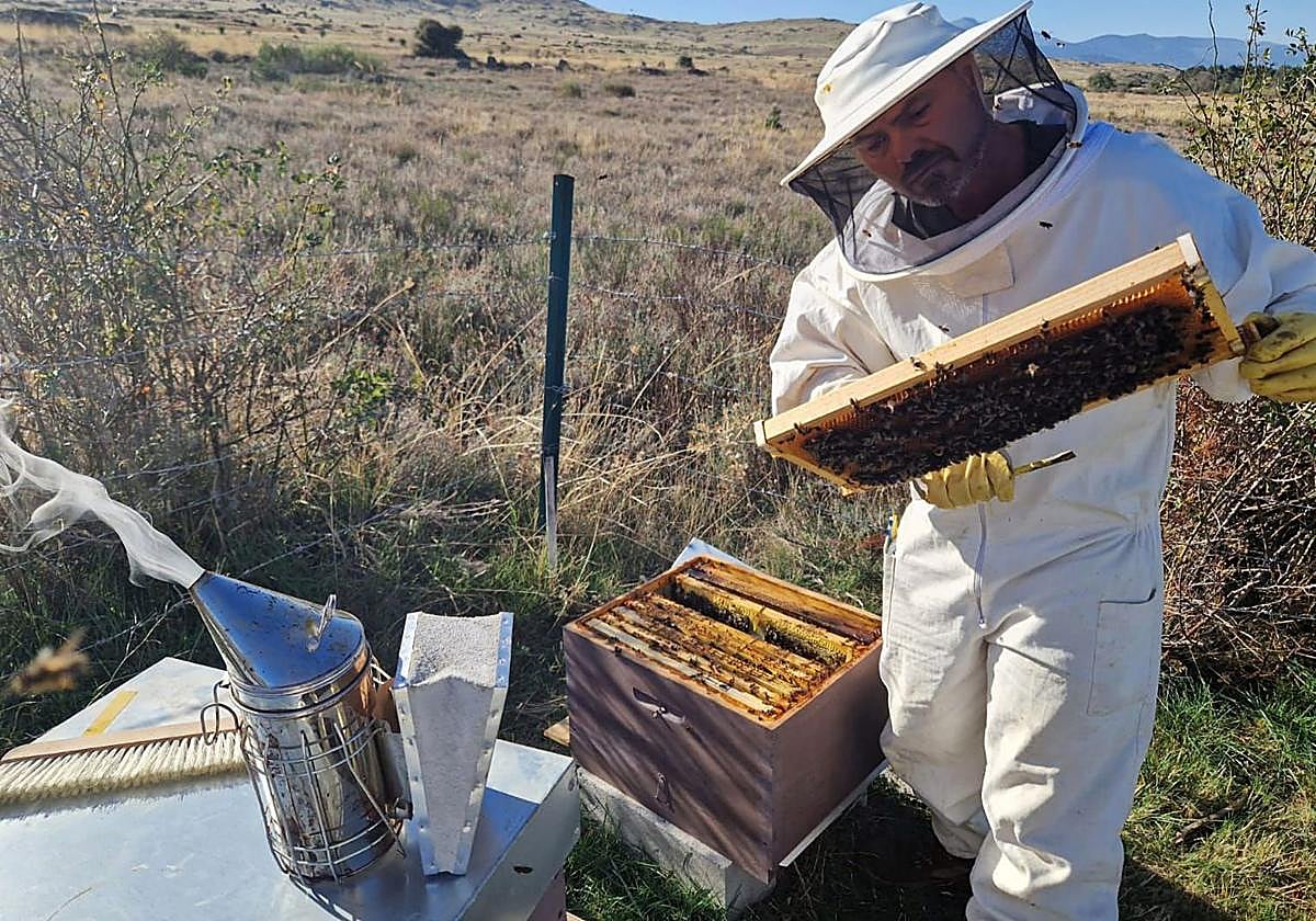 La CHG permite instalar colmenas en los márgenes del río, como pedía UPA-UCE