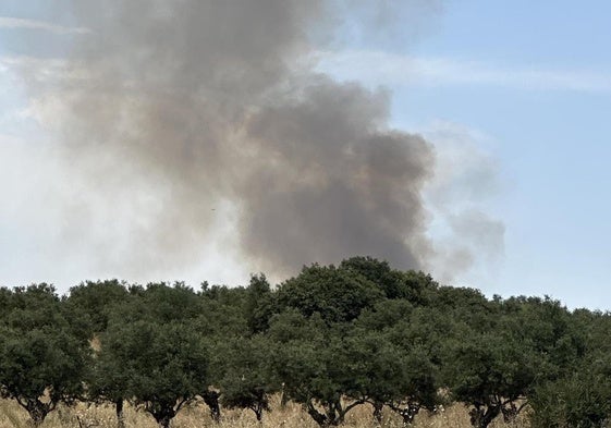 Incendio registrado en Guijo de Granadilla.