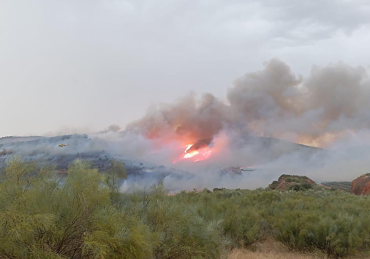 Incendio registrado este jueves en Valle de la Serena.