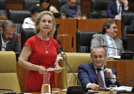 La consejera de Educación, Mercedes Vaquera, en el pleno de la Asamblea.