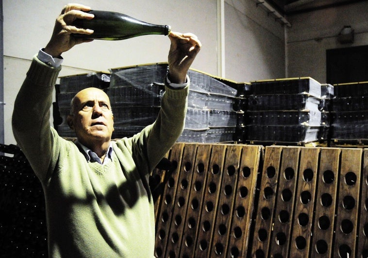 Marcelino Díaz, el TSJEx o Los Cabales, propuestos a Medalla de Extremadura