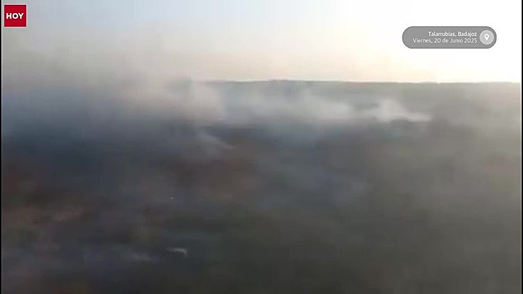 Medios del Infoex y de Castilla-La Mancha trabajan en la extinción del incendio en Talarrubias