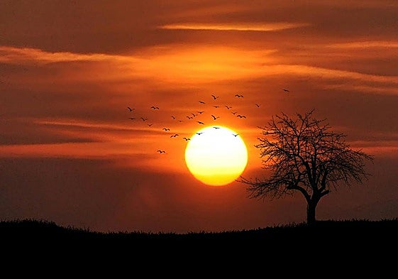 Imagen de una puesta de sol.