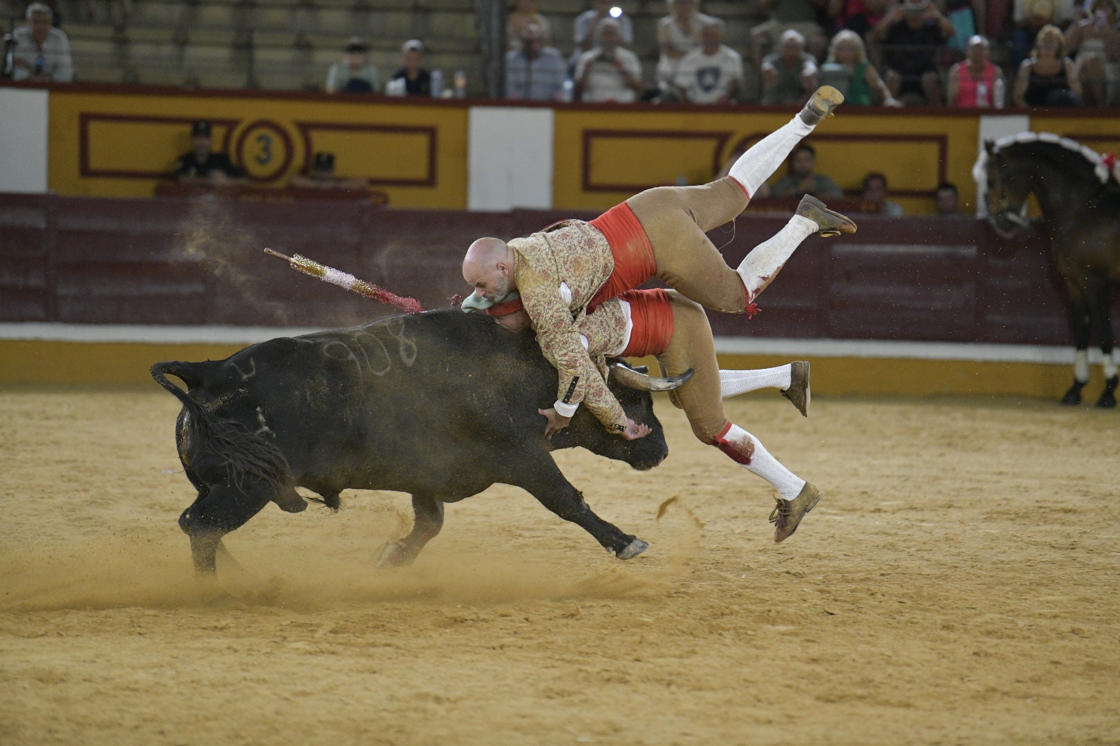 Fotos | Las mejores imágenes de la primera corrida de toros de la feria de San Juan de Badajoz 2025