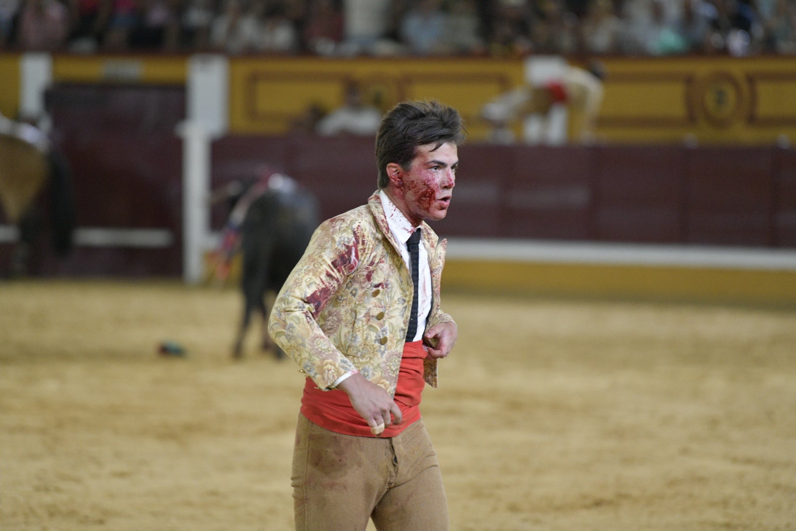 Fotos | Las mejores imágenes de la primera corrida de toros de la feria de San Juan de Badajoz 2025