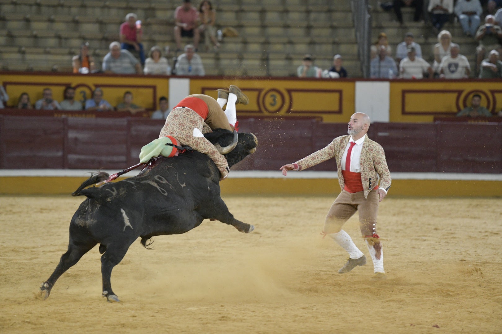 Fotos | Las mejores imágenes de la primera corrida de toros de la feria de San Juan de Badajoz 2025