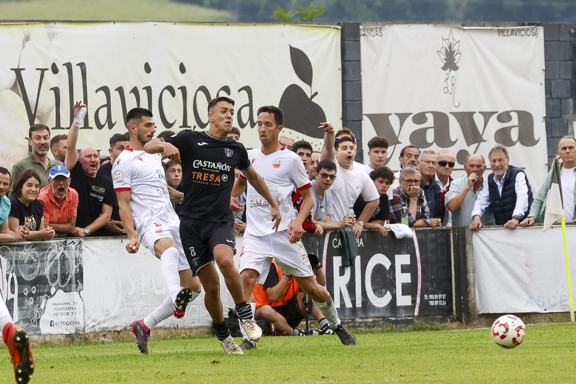 Imágenes del partido Lealtad-Llerenense