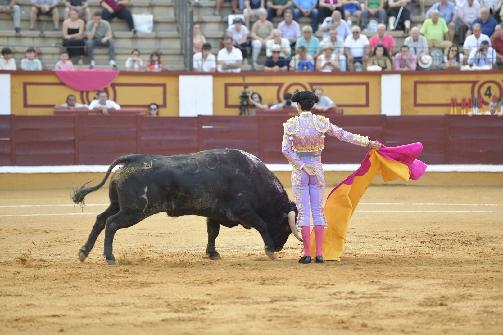 Imágenes de la novillada de la Feria de San Juan de Badajoz