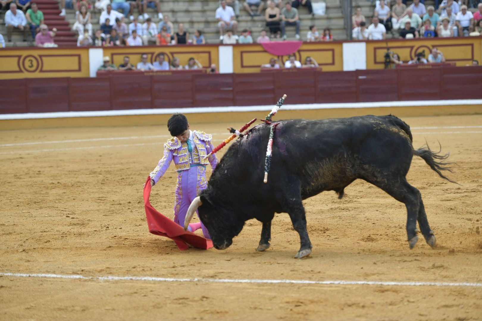 Imágenes de la novillada de la Feria de San Juan de Badajoz