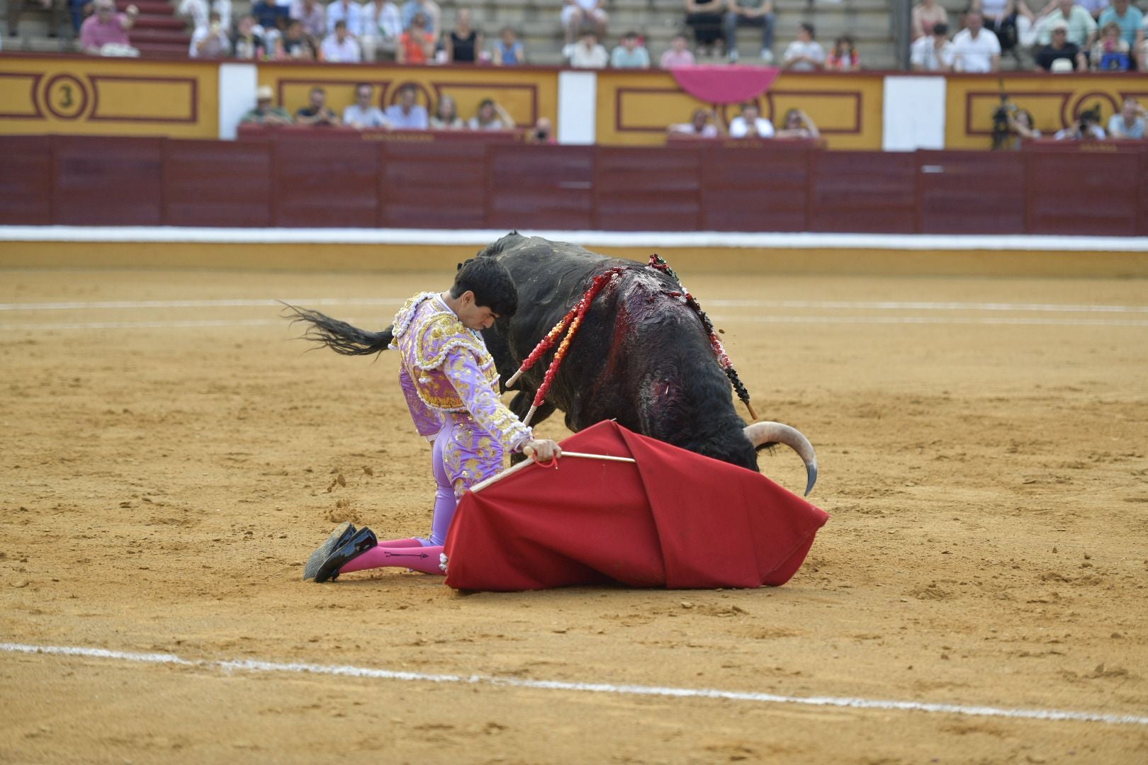 Imágenes de la novillada de la Feria de San Juan de Badajoz