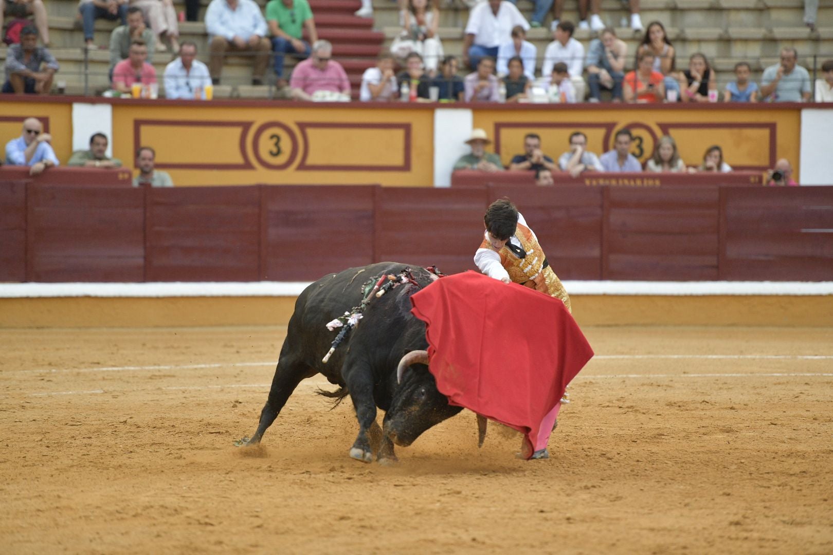 Imágenes de la novillada de la Feria de San Juan de Badajoz