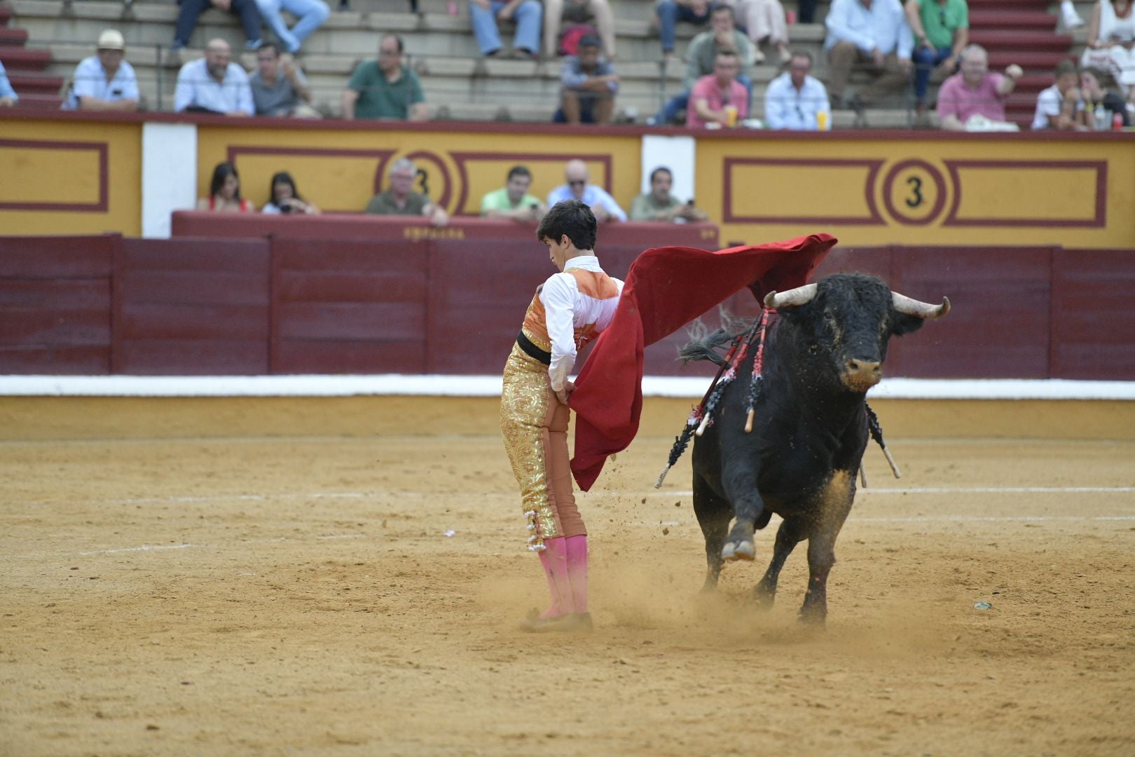 Imágenes de la novillada de la Feria de San Juan de Badajoz
